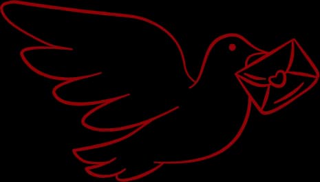Bird Illustration