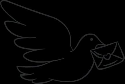 Bird Illustration