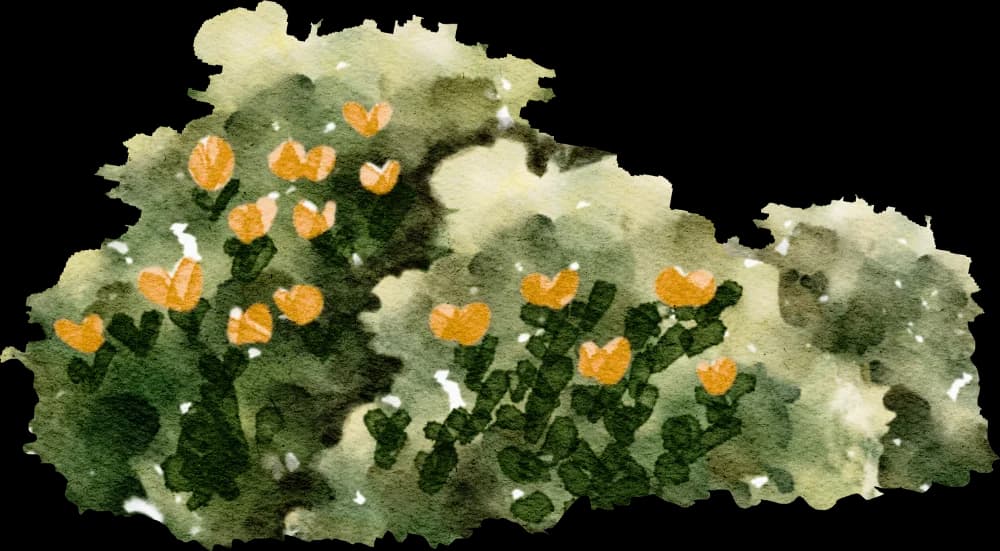 bush