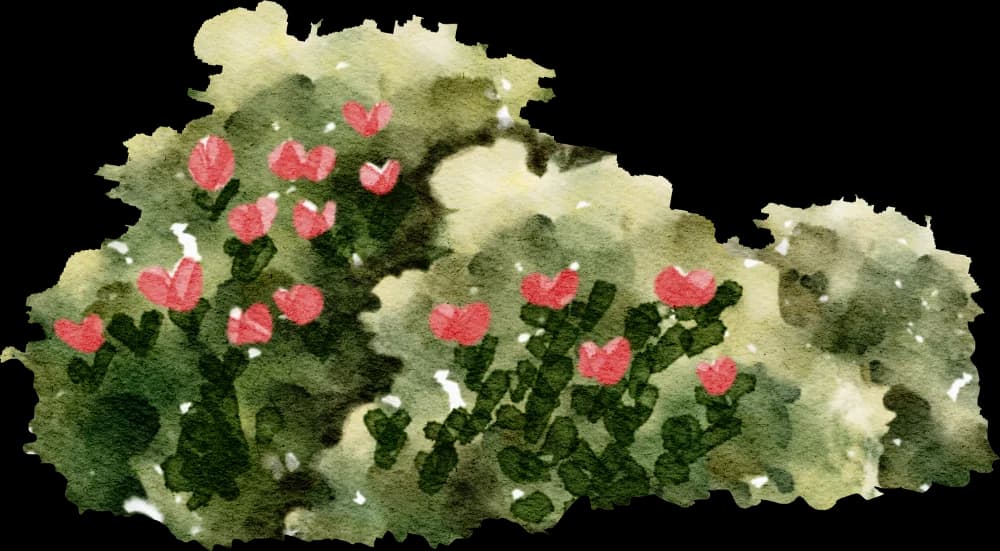 bush