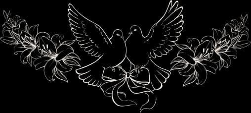 Doves