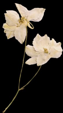 Flower ornament